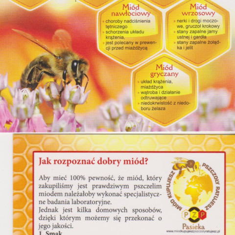 Powiększ obraz: dzień pszczoły