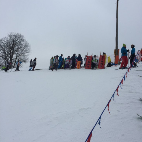 Powiększ obraz: Mistrzostwa Jaworzna Szkół w Slalomie Gigancie